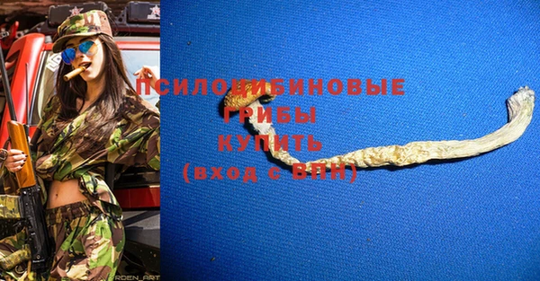 твердый Арсеньев