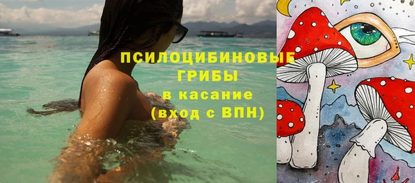 твердый Арсеньев