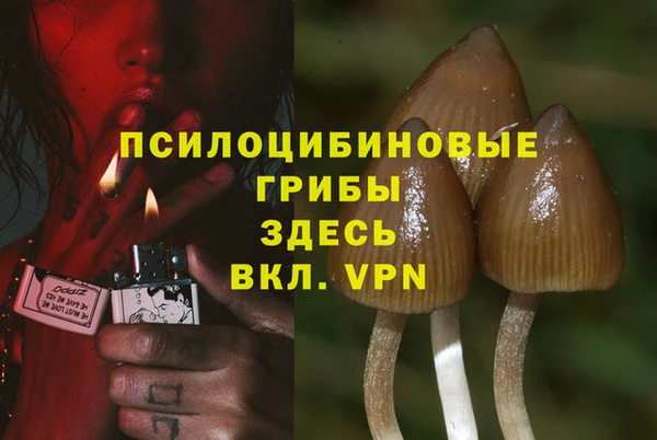 ALPHA PVP Аркадак