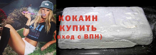 твердый Арсеньев